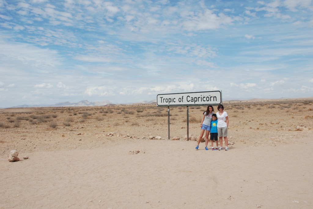 Namib Desert... south of Swakopmund, Namibia