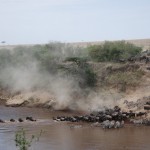 Crossing Mara River, Maasai Mara, Kenya