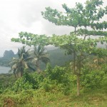 Ilha Principe
São Tomé e Principe